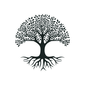 Family tree